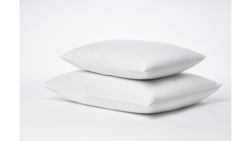 Promo Pack 2 Silk Pillows