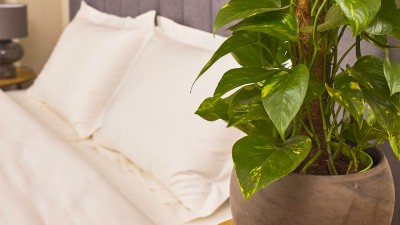 Biancheria da letto in Cotone Egiziano satinato