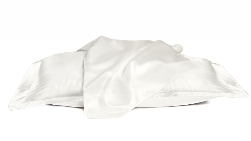Promo-Paket 2 Kissenbezüge aus Mulberry-Seide 2