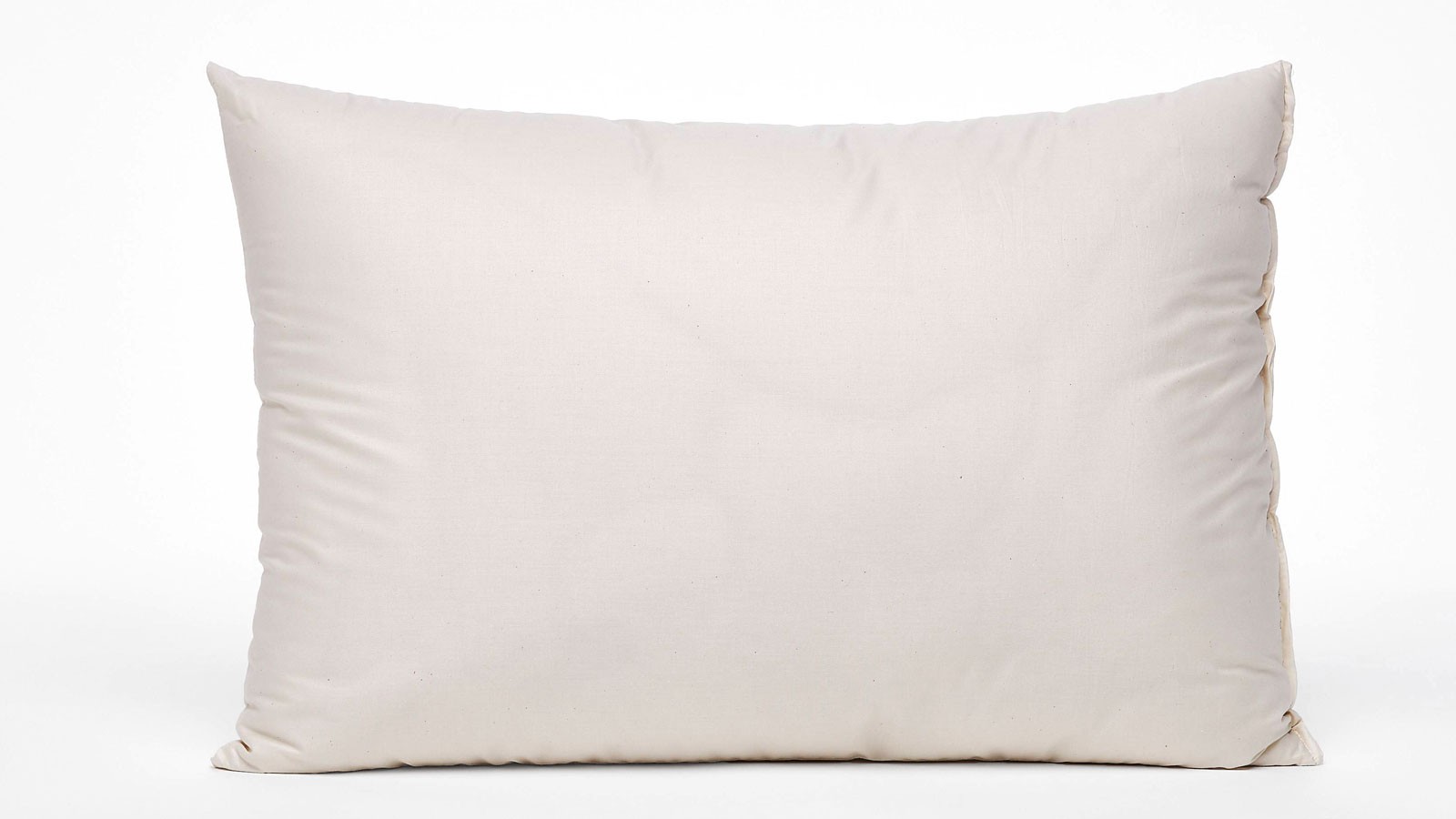 FLAXILK Pillow